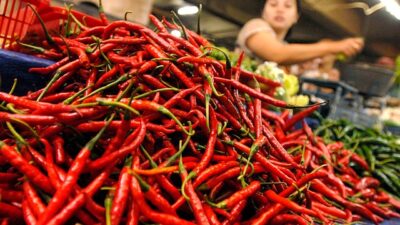 Imbas Jateng Di Rumah Saja, Harga Lombok Setan di Salatiga Tembus Rp 100 Ribu per Kilogram