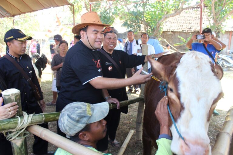 Blora Rintis Kerja Sama Pengembangan Sapi dengan Swasta