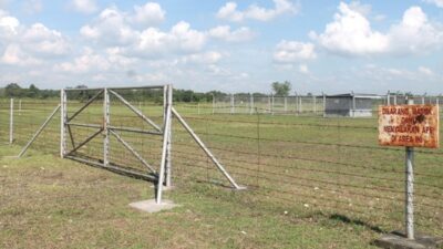Tahan Penurunan Produksi Blok Cepu, SKK Migas Akan Kembangkan Lapangan Cendana dan Alas Tua