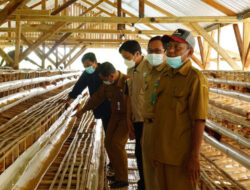 EMCL Serahkan Sarana Pengembangan Peternakan Ayam Petelur di Desa Sudu