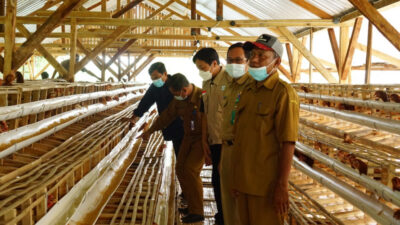 EMCL Serahkan Sarana Pengembangan Peternakan Ayam Petelur di Desa Sudu