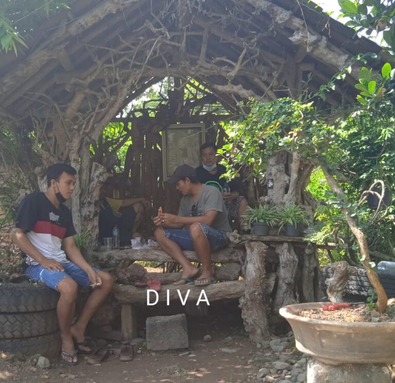 Berkah Pandemi bagi Penjual Tanaman Hias di Pati, Sehari Bisa Kirim Lebih Sepuluh Pesanan