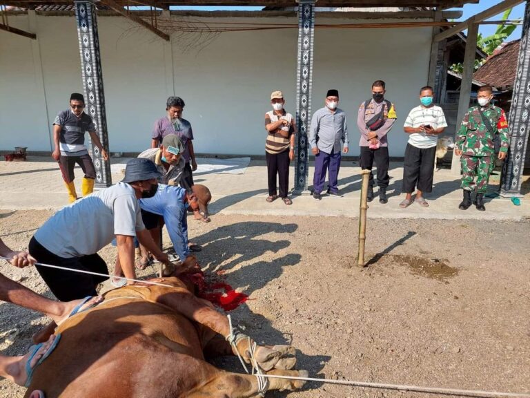 Potong Kurban, Takmir Masjid Biting Bagikan Daging ke Rumah Warga