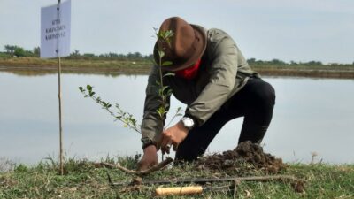 Bersatu Hijaukan Bumi, Karang Taruna Bulu Manis Margoyoso Tanam 2.300 Pohon