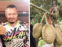 Blora Punya Kebun Durian berbagai Varian
