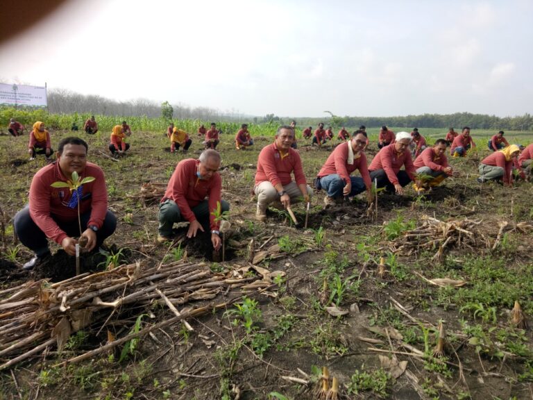 Sambut Hari Jadi yang ke-61, Perhutani KPH Randublatung Tanam Pohon Jati dan Bagikan Bibit ke Masyarakat