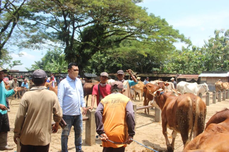 Jelang Puasa, Harga Sapi di Pasar Hewan Blora Masih Stabil