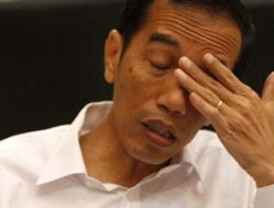 Omongannya sudah Tidak Didengar Bawahannya, Jokowi Disebut Seperti Bebek Lumpuh