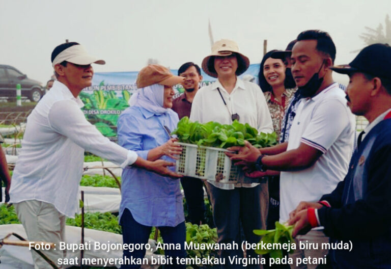 Serahkan Bantuan Bibit Tembakau, Bupati Optimis Hasil Panen Meningkat