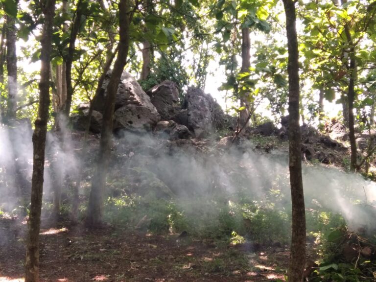 Bongkahan Batu Sejarah Era Mataram Islam Ditemukan Berserakan di Desa Pohgading, Pati