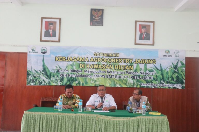 Bersama LMDH, Perhutani Jajaki Kerjasama Tanaman Jagung dengan BMT BUS Lasem