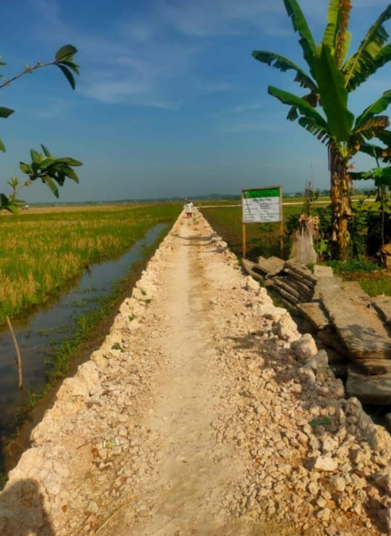 Tingkatkan Perekonomian Warga, Desa Sumberpitu-Cepu Bangun Jalan Lingkungan
