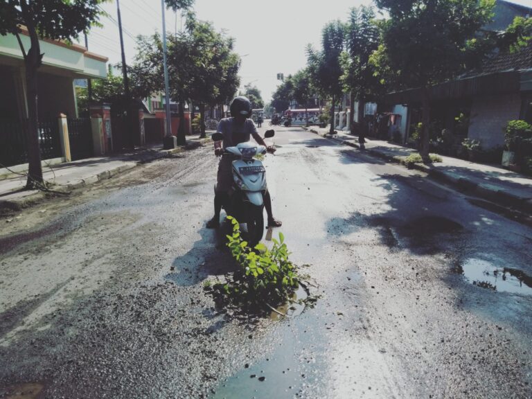 Mohon Perhatian, Lubang di Jalan Maluku-Blora Membahayakan Pengendara