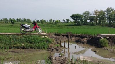 JUT Ambrol, Akses Petani Desa Mernung-Cepu Menuju Sawah Terputus