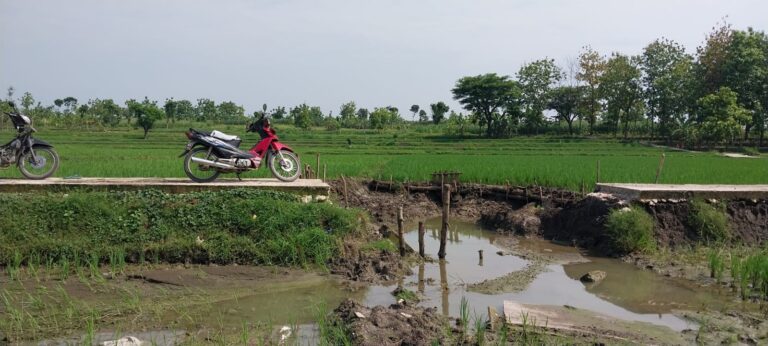 JUT Ambrol, Akses Petani Desa Mernung-Cepu Menuju Sawah Terputus