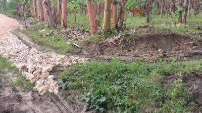 Sudah Ganti Tahun, Proyek JUT Makadam di Desa Mernung Belum Rampung