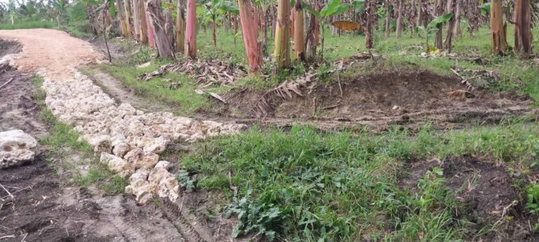 Sudah Ganti Tahun, Proyek JUT Makadam di Desa Mernung Belum Rampung