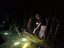 Pamit Mencari Rumput, Warga Ngampon-Jepon Ditemukan sudah Meninggal di Persilan Jagung
