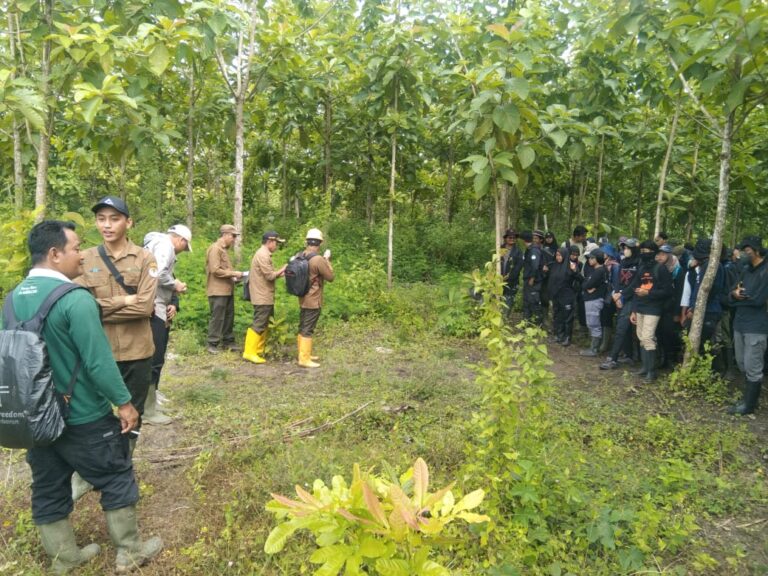 KKN di Perhutani KPH Randublatung, 95 Mahasiswa UGM Praktek Pembuatan Tanaman Kehutanan