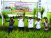 Gunakan Pupuk RKM, Petani Desa Tanjung-Kedungtuban Panen 8,5 Ton per Hektar