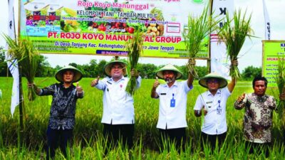 Gunakan Pupuk RKM, Petani Desa Tanjung-Kedungtuban Panen 8,5 Ton per Hektar
