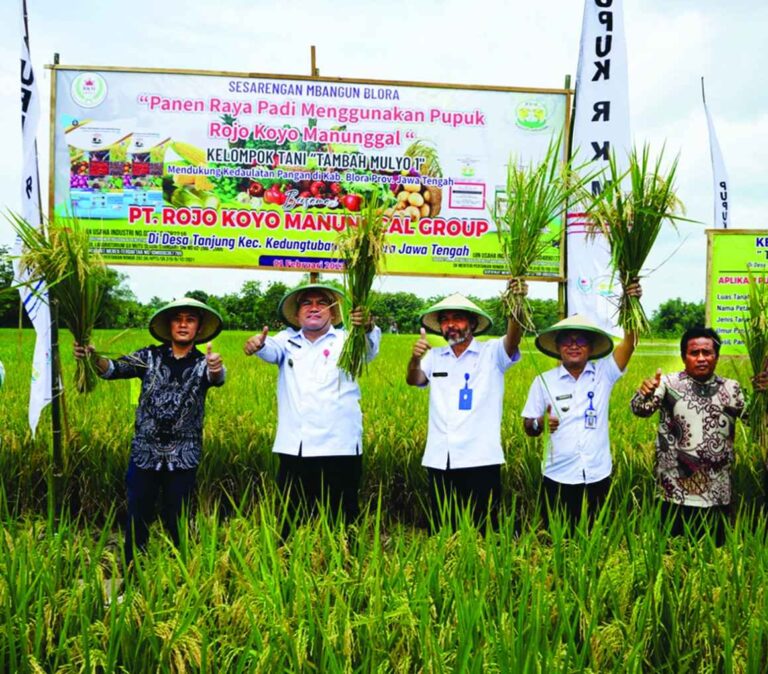 Gunakan Pupuk RKM, Petani Desa Tanjung-Kedungtuban Panen 8,5 Ton per Hektar