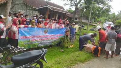 Sosialisasi Bahaya Hama, Dinas Pertanian Bagikan Obat Wereng Gratis kepada Petani di Banjarejo
