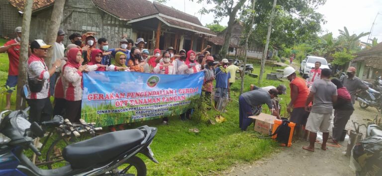 Sosialisasi Bahaya Hama, Dinas Pertanian Bagikan Obat Wereng Gratis kepada Petani di Banjarejo