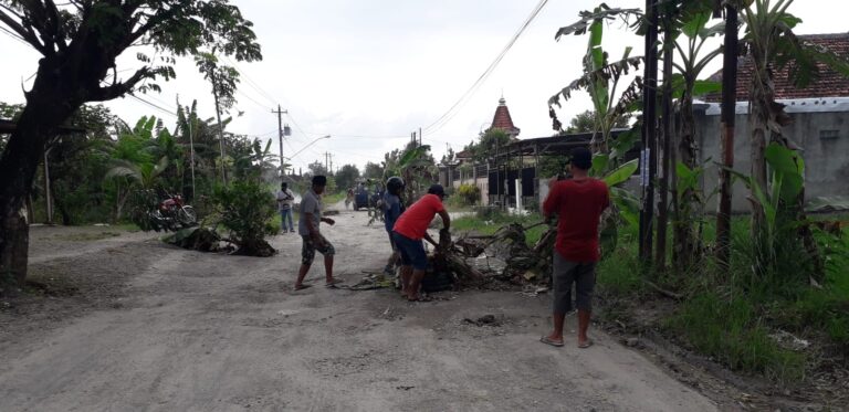 Protes Jalan Rusak, Warga Sumber-Kradenan Tanami Pohon Pisang dan Urug Lubang Jalan dengan Sampah