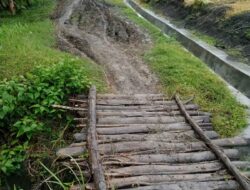 Jalan Menuju Kawasan Hutan Rusak Berat, Petani Desa Plosorejo-Randublatung Keluhkan Proyek Pembangunan Drainase Lapangan Bola