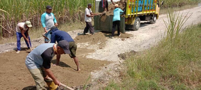 Gandeng Petani Tebu Masyarakat Tlogotuwung Kerja Bakti Nguruk Jalan