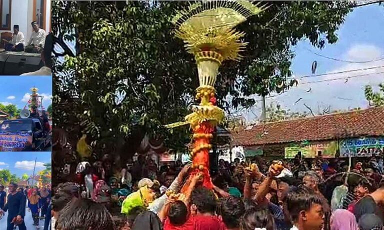 Sedekah Bumi di Bogorejo Dipusatkan di Bumi Tanjung, Tempat Simbah Bogo Punjul