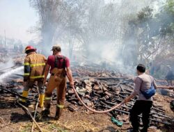 Tiga Rumah Terbakar di Sonokidul, Sapi Jantan Seharga 15 Juta Hangus Terpanggang