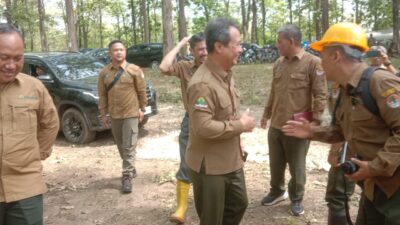 Tingkatkan Nilai Kayu Tebangan Tahun 2024, Perhutani Gelar Job Training Produsi Kayu dan Bucking