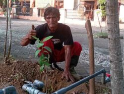 Awali Tahun Baru dengan Tanam Bibit Pohon Sukun, Bambang Sulistya: Supaya Rukun