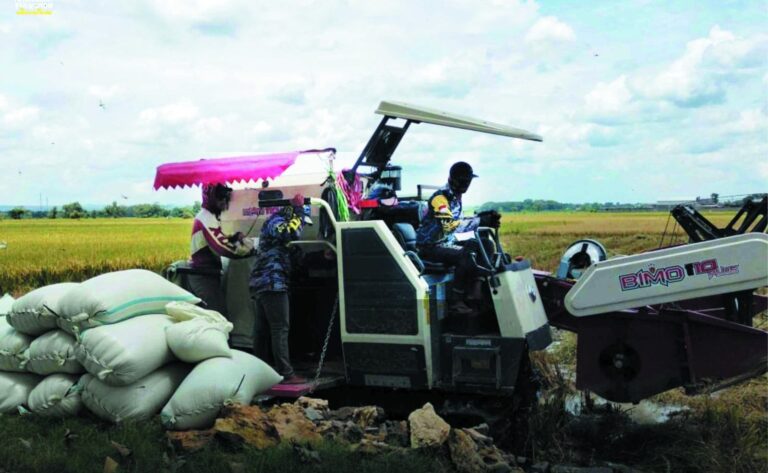 Beralih ke Varietas Inpari 32, Petani Desa Ngilen-Kunduran Raih Keuntungan Berlimpah