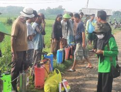 Bersama Petugas BPP Kecamatan Ngawen, Poktan Sejahtera Laksanakan Gerdal WBC di Desa Gedebeg