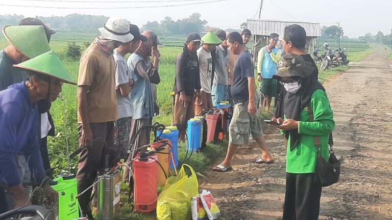Bersama Petugas BPP Kecamatan Ngawen, Poktan Sejahtera Laksanakan Gerdal WBC di Desa Gedebeg