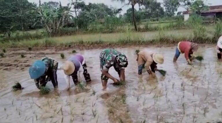 DP4 Blora Jamin Ketersediaan Pupuk Urea dan Pupuk Ponska