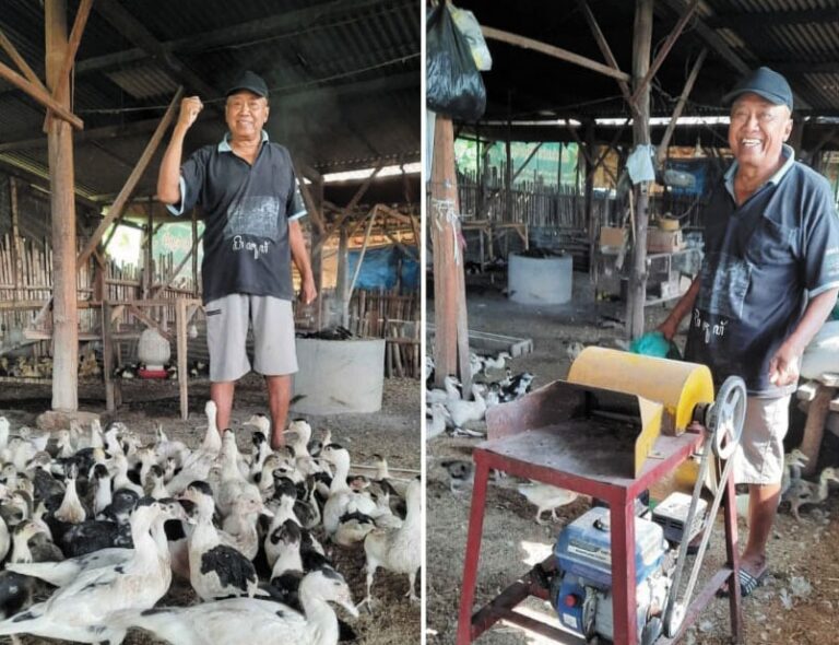 Rajiman Santarko, Pahlawan Keluarga yang Menekuni Ternak Bebek