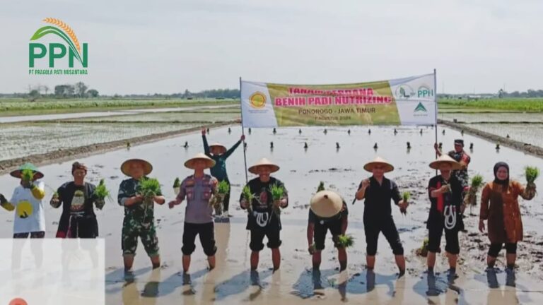 Dukung Program Swasembada Pangan Nasional, PT Pragola Pati Nusantara Tanam Padi Nutrizinc di Ponorogo