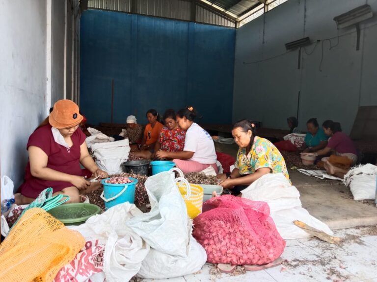 Panen Bawang Merah di Desa Nglanjuk, Berdayakan Perempuan dan Tingkatkan Ekonomi Warga