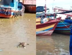 Sepuluh Hari Tidak Pulang, Mayat Warga Jepara Ditemukan Terapung di Sungai Silugonggo