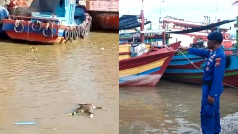 Sepuluh Hari Tidak Pulang, Mayat Warga Jepara Ditemukan Terapung di Sungai Silugonggo