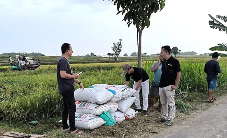 Bulog Pati Siap Serap Gabah Petani dengan Harga Baru