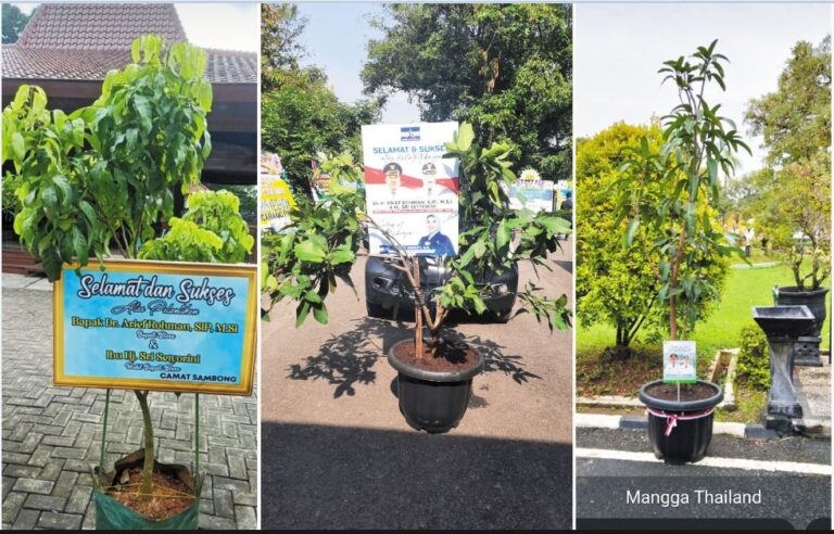 Ucapan Selamat dengan Media Bibit Tanaman Menjadi Trend Baru di Kalangan Masyarakat Blora