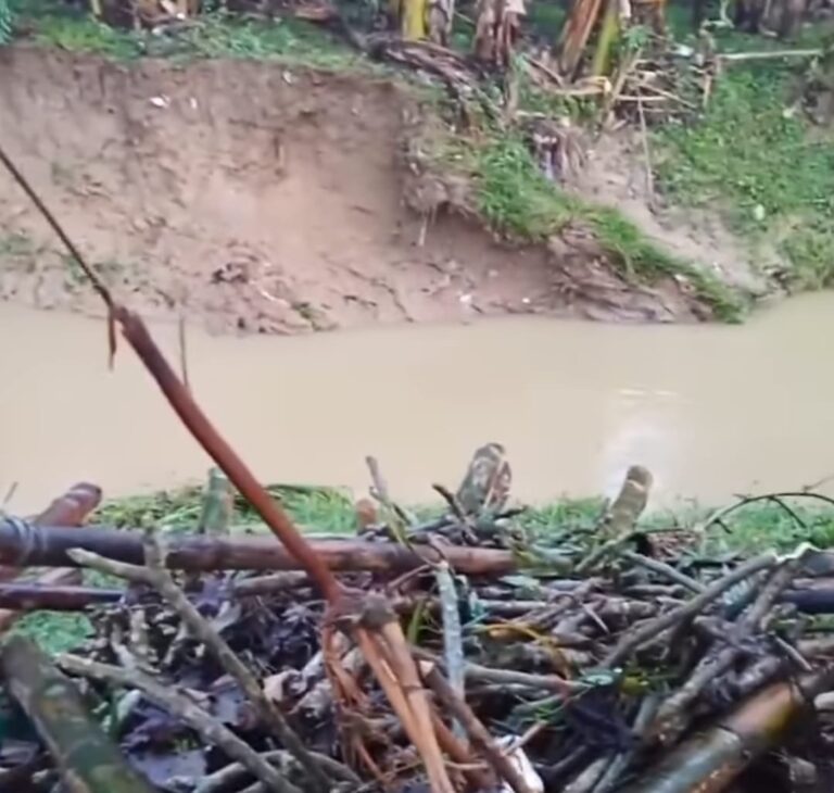 Terseret Arus Sungai, Nenek Warga Kayen Pati Ditemukan Tak Bernyawa
