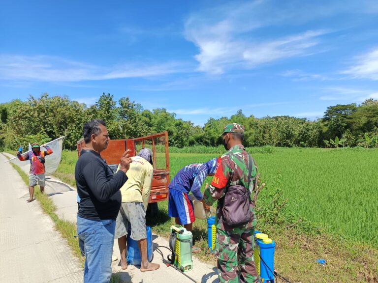 Peduli Kebersihan, Warga Desa Rowobungkul Gotong Royong Basmi Rumput bersama Babinsa