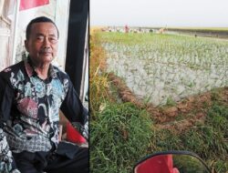 Pemerintah Desa Bandungrojo Berhasil Jalankan Program Ketahanan Pangan Lewat Pipanisasi