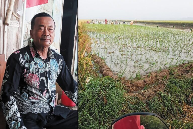 Pemerintah Desa Bandungrojo Berhasil Jalankan Program Ketahanan Pangan Lewat Pipanisasi